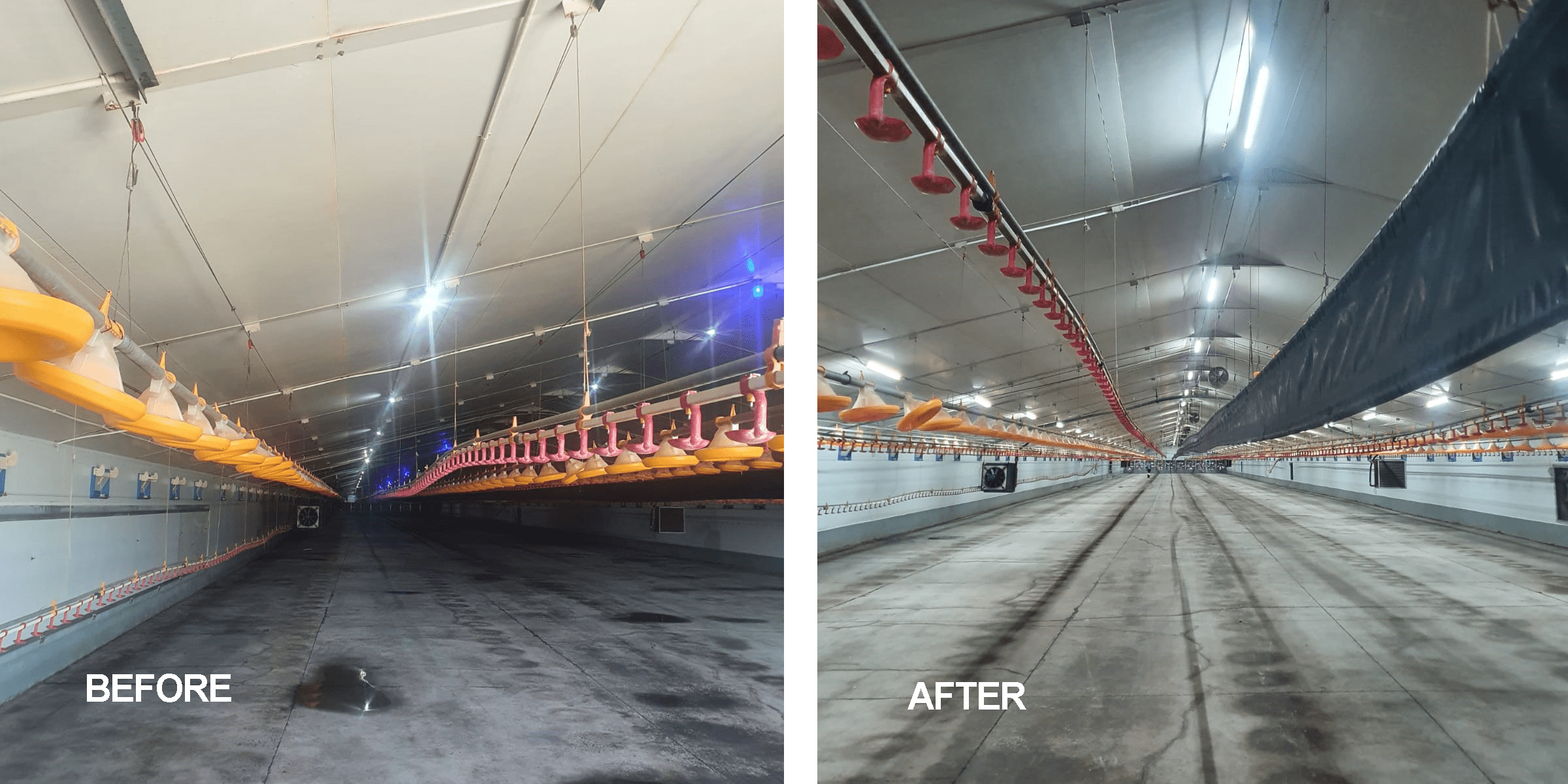 JPKrugerBeforeAfter