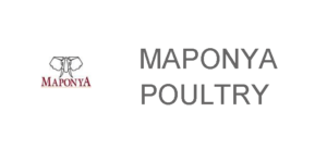 Maponya Web Logo